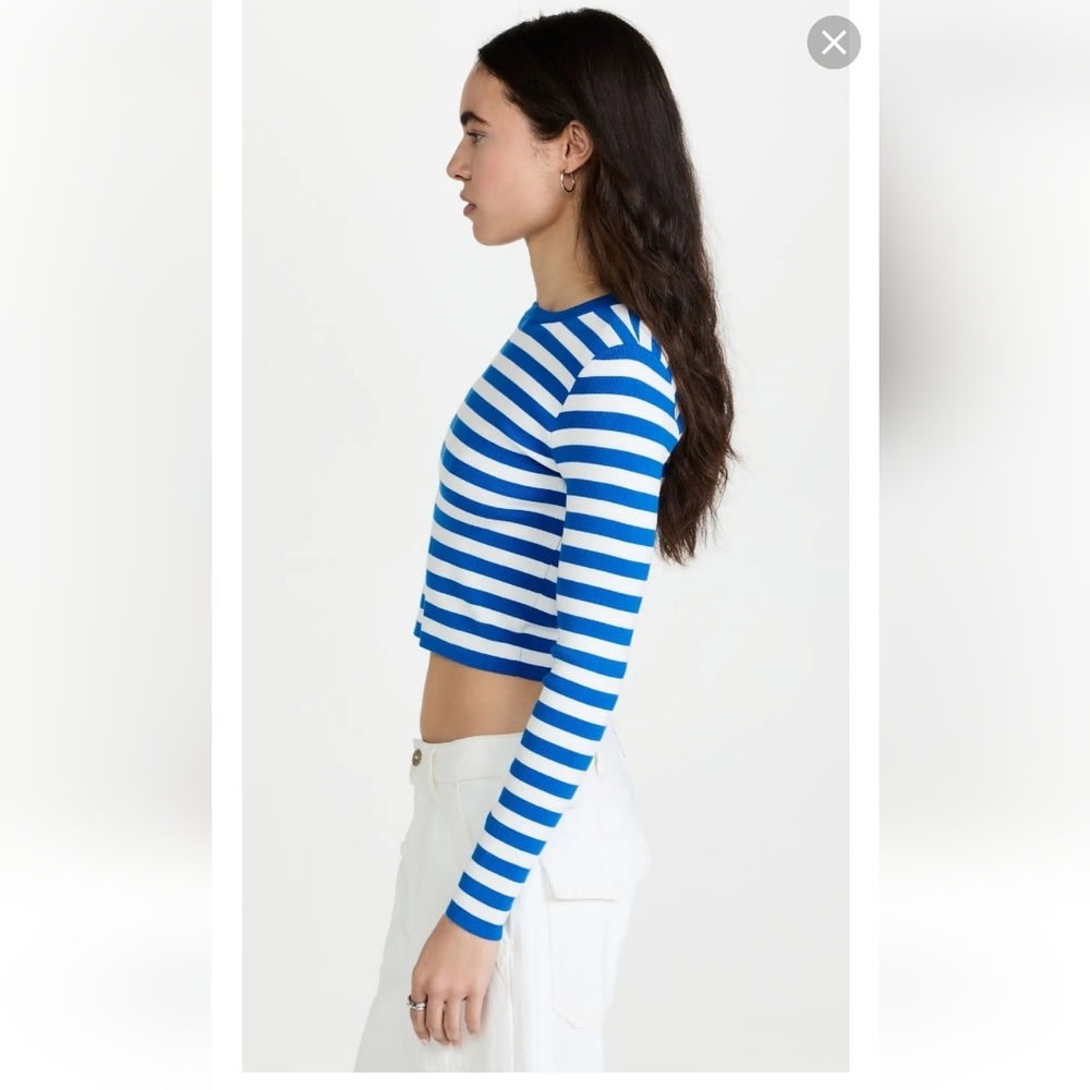 Alice + Olivia Striped Blue and White Crop Top - Picture 3 of 11